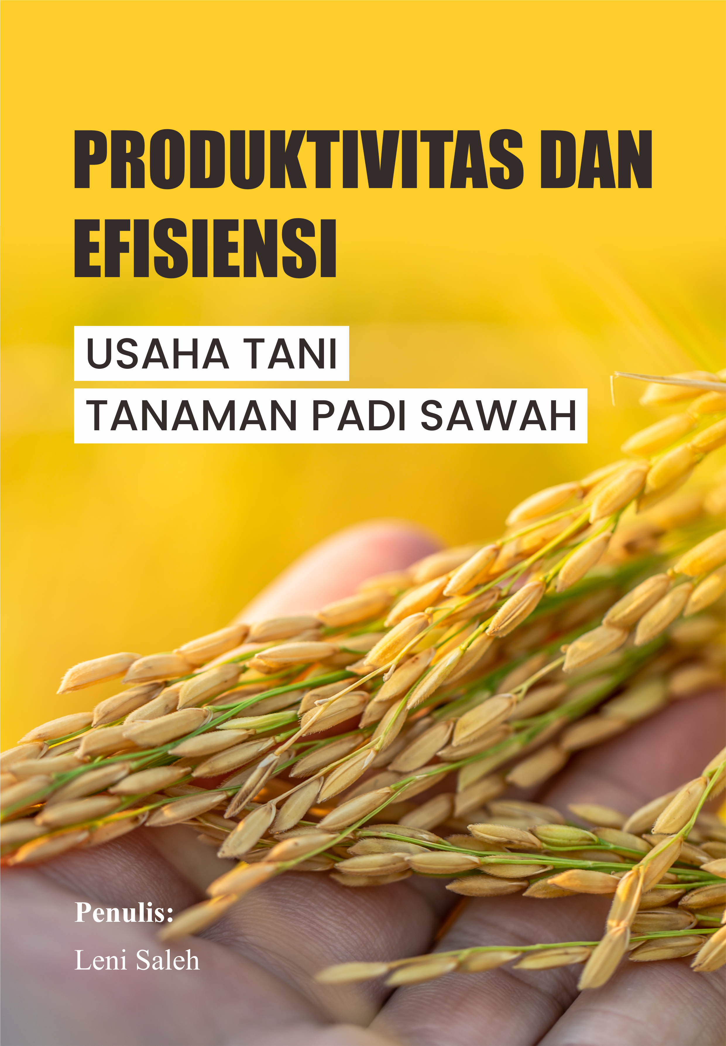 Produktivitas dan Efisiensi Usaha Tani Tanaman Padi Sawah