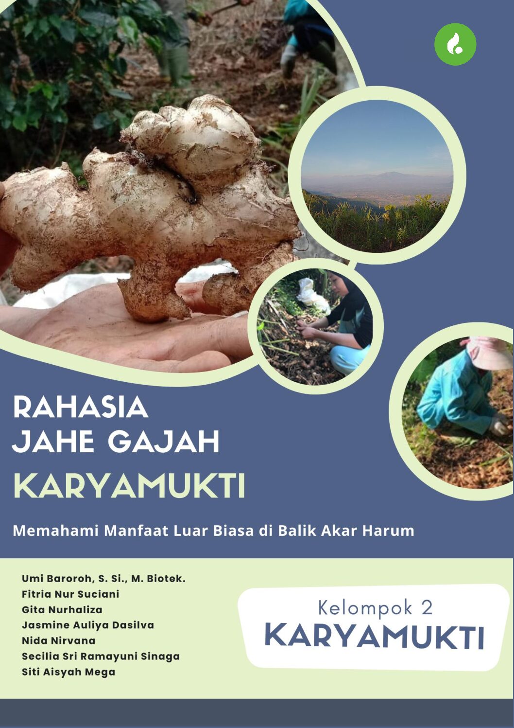 RAHASIA JAHE GAJAH KARYAMUKTI: Memahami  Manfaat Luar Biasa di Balik Akar Harum